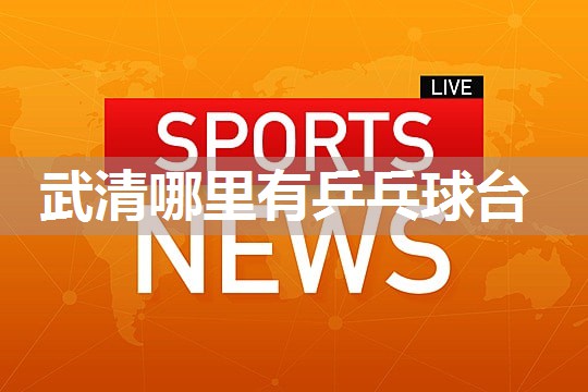 武清哪里有乒乓球台