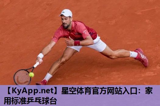 星空体育官方网站入口：家用标准乒乓球台