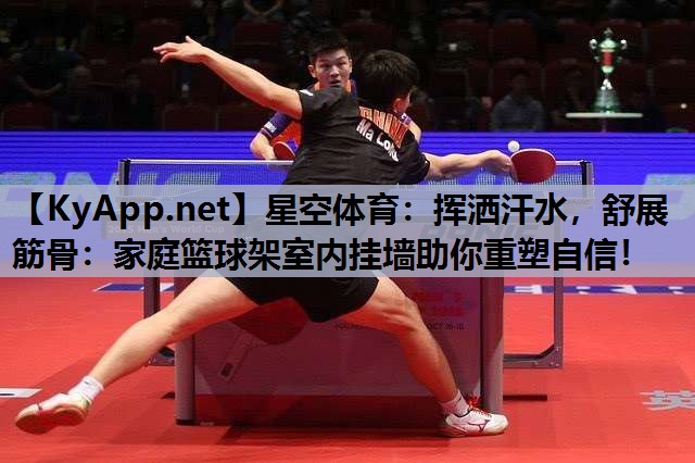 挥洒汗水，舒展筋骨：家庭篮球架室内挂墙助你重塑自信！
